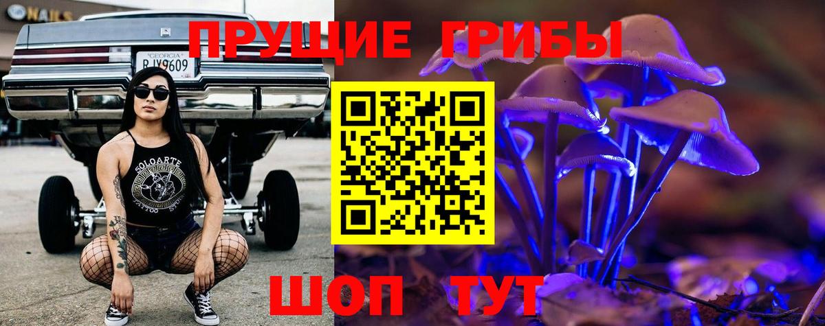 Выборг  купить   Вход с VPN  Псилоцибиновые грибы Magic Shrooms  Галлюциногенные грибы Magic Shrooms 